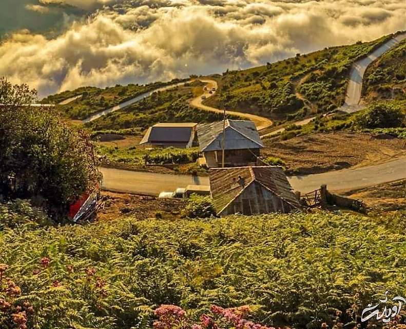 فیلبند بابل